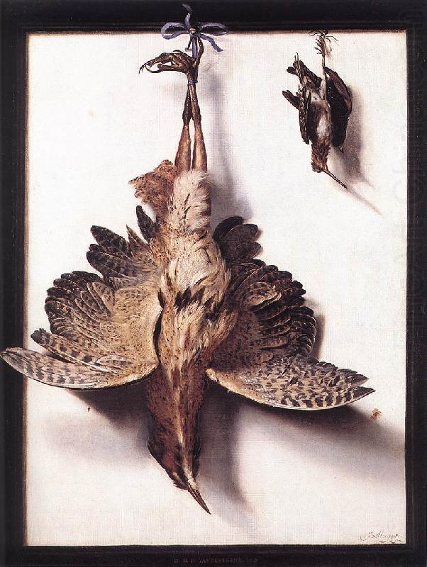 Still-Life with Fowl dsd, CUYCK VAN MYEROP, Frans